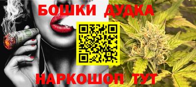 apvp Партизанск