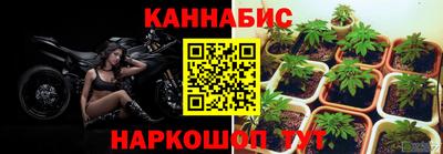 винт Пенза