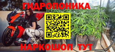 винт Пенза