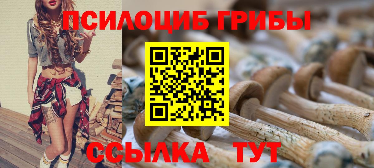 Псилоцибиновые грибы Cubensis  Вход с VPN  Советский 